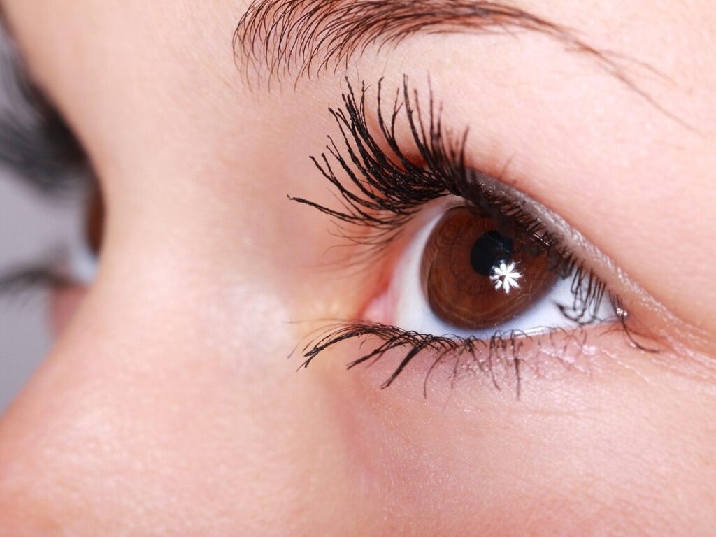 woman, beauty, eyelashes, eye, makeup, mascara, beautiful, female, girl, closeup, eye, eye, eye, eye, eye